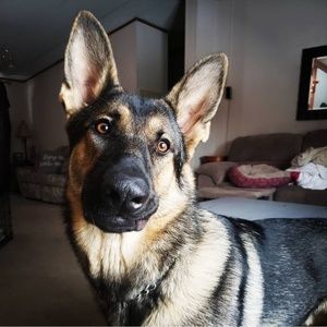 Meet your Posher, Angela